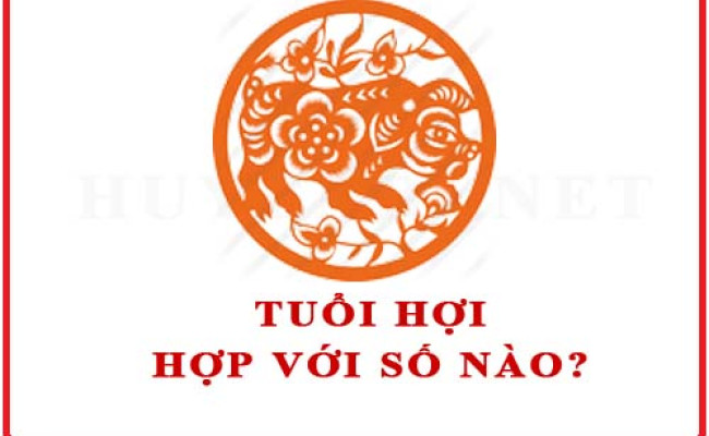 Tuổi Hợi hợp với số nào theo phong thuỷ