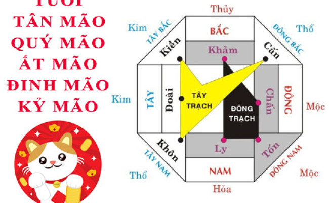 Tuổi Mão hợp hướng nào?
