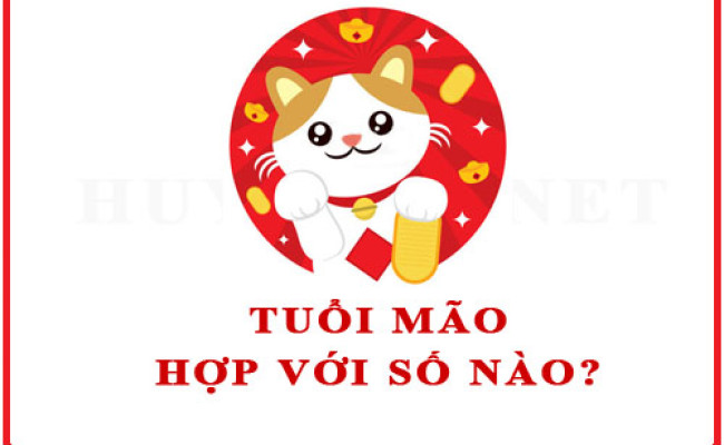 Tuổi Mão hợp với số nào theo phong thuỷ
