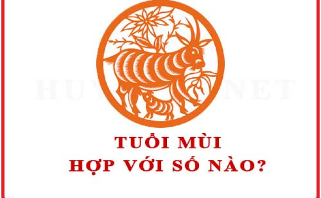 Tuổi Mùi hợp với số nào theo phong thuỷ