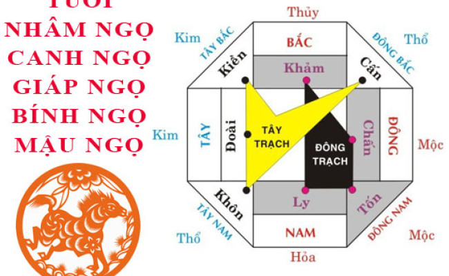 Tuổi Ngọ hợp hướng nào?