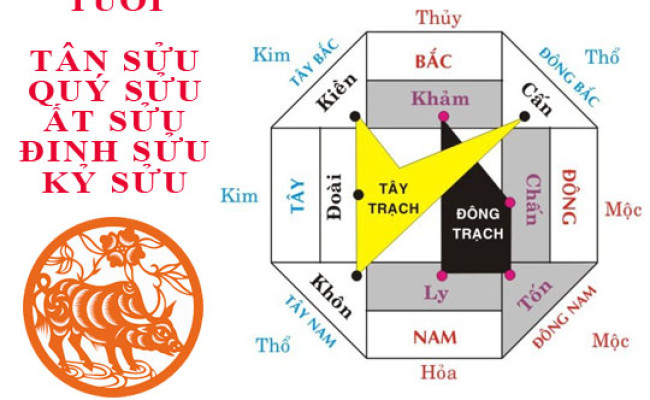 Tuổi Sửu hợp hướng nào?