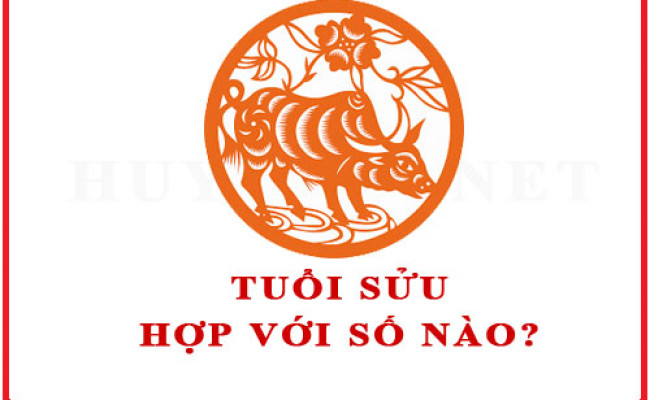 Tuổi Sửu hợp với số nào theo phong thuỷ
