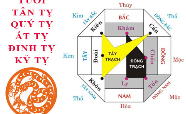 Tuổi Tị hợp hướng nào?