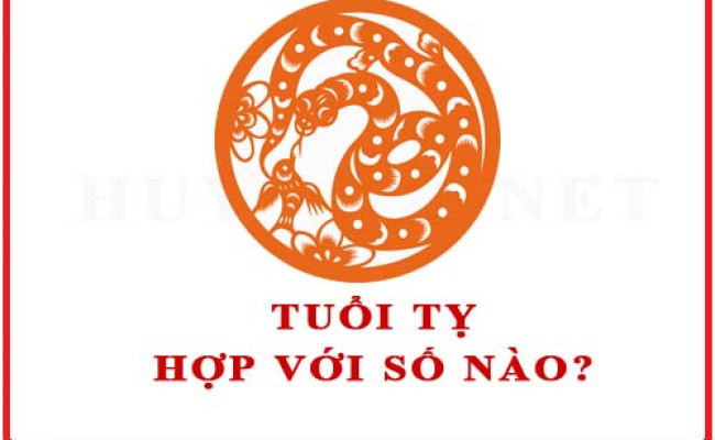Tuổi Tỵ hợp với số nào theo phong thuỷ