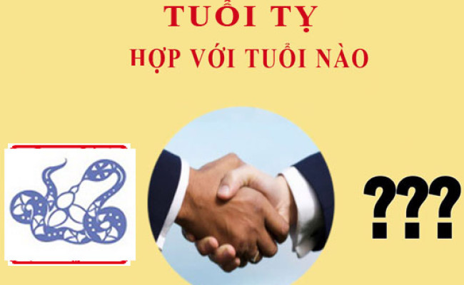 Tuổi Tỵ hợp với tuổi nào?