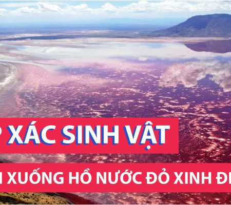 ho-nuoc-do-o-tanzania-so-huu-sieu-nang-luc-hoa-da-phan-lon-cac-sinh-vat