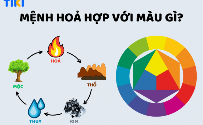 Màu hợp trong kinh doanh: Gợi ý nào là lý tưởng nhất để bạn thu hút tiền bạc dồi dào?