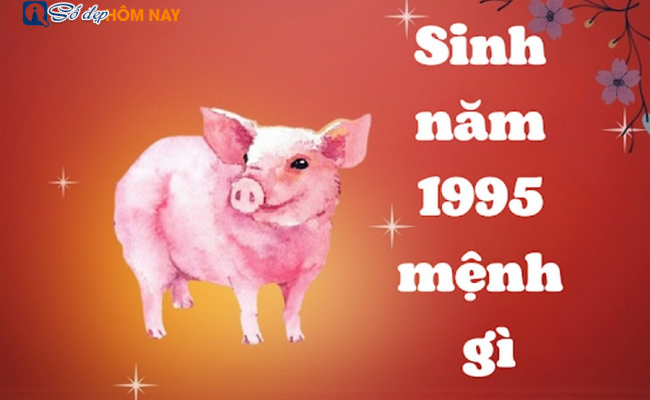 Năm sinh 1995 mệnh gì? Chọn trang sức phong thủy phù hợp