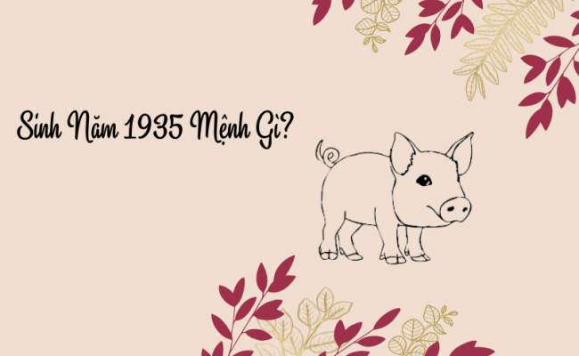 Người sinh năm 1935 mệnh gì? Hợp với màu và con số may mắn nào?