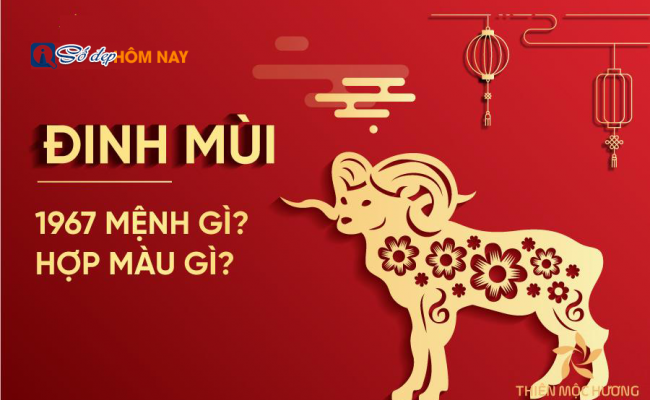 Sinh năm 1967 mệnh gì, tuổi con gì – Tử vi Đinh Mùi 2024