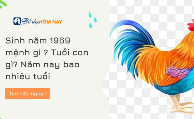 Sinh năm 1969 mệnh gì? Tuổi con gì? Hợp màu gì? – Tử vi năm sinh 1969