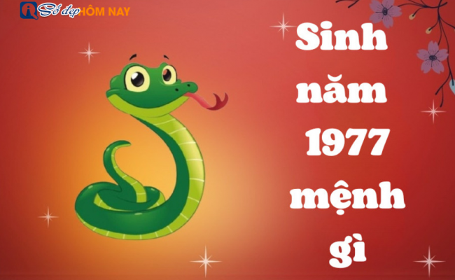 Sinh năm 1977 mệnh gì? Tuổi Đinh Tỵ hợp màu gì? Kỵ màu gì? Sự nghiệp, tình duyên và tính cách