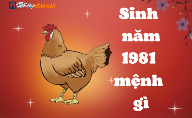 Sinh năm 1981 mệnh gì? Vận hạn người tuổi này ra sao?