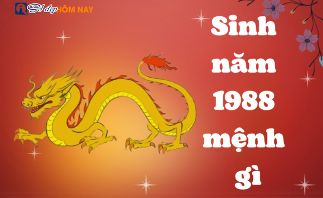 Người sinh năm 1988 mệnh gì? Hợp tuổi và hướng nào?