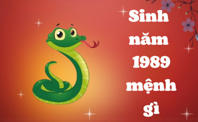 Sinh năm 1989 mệnh gì, tuổi con gì – Vận mệnh tuổi Kỷ Tỵ