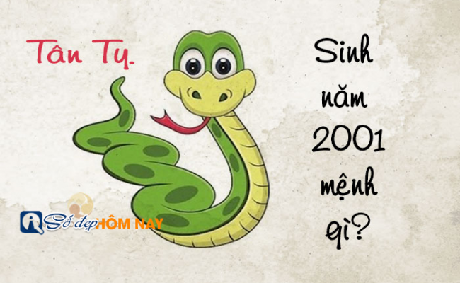 Tuổi Tỵ sinh năm 2001 mệnh gì hợp màu gì? Hợp hướng nào?