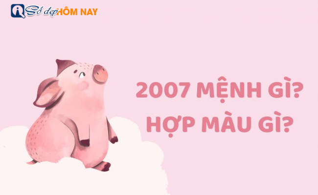 Sinh năm 2007 mệnh gì? Tuổi con gì, hợp màu gì? – Tử vi 2007