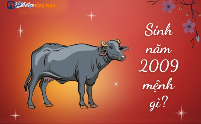 Sinh năm 2009 mệnh gì, tuổi con gì, hợp màu gì? – Tử vi 2009