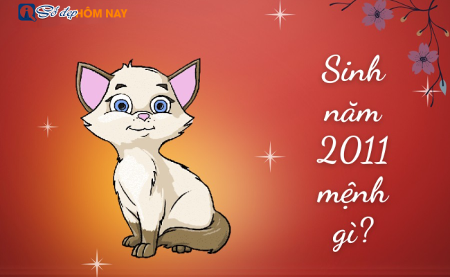 Sinh năm 2011 mệnh gì? Tổng quan về tử vi của năm sinh 2011