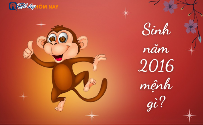 Sinh năm 2016 mệnh gì? Tuổi con gì? Hợp màu gì? Tử vi 2016