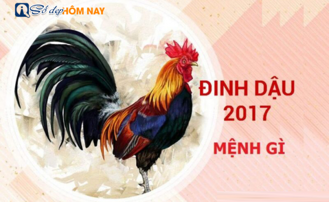 Sinh năm 2017 mệnh gì? Tuổi con gì? Hợp màu gì? – Khái quát tử vi năm 2017