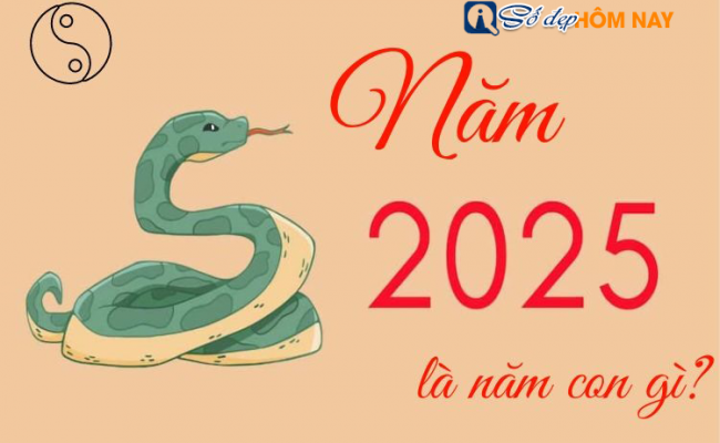 Sinh năm 2025 mệnh gì, tuổi con gì? – Tương lai năm 2025