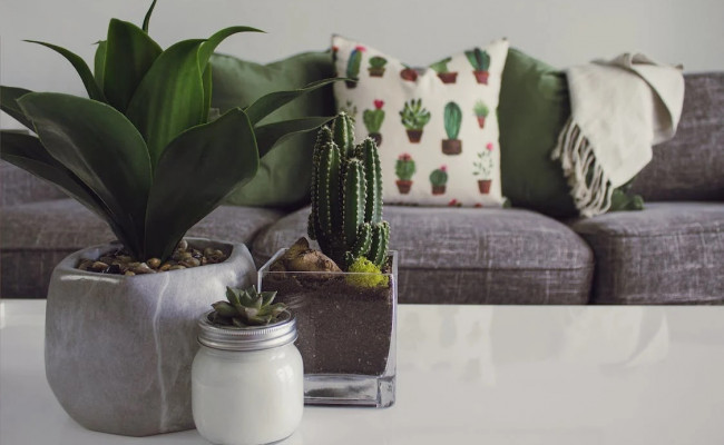 Top 8 cách thanh lọc năng lượng xấu cực DỄ nhất định phải thử ngay