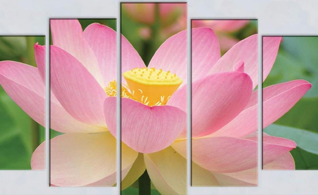 5 bức tranh phong thủy MAY mắn này có thể thay đổi hoàn toàn cuộc sống của bạn!