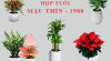 Tuoi-Mau-Thin-hop-cay-gi-trong-cay-gi-theo-phong-thuy-5751