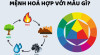menh-hoa-hop-mau-gi-284-191399