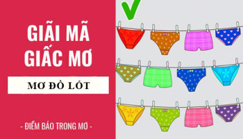 Giai-ma-giac-mo-Nam-mo-thay-ao-lot-bikini-diem-bao-gi-lanh-hay-du-con-so-lien-quan-6920