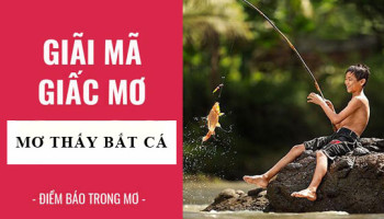 Giai-ma-giac-mo-Nam-mo-thay-bat-ca-diem-bao-gi-lanh-hay-du-con-so-lien-quan-5475