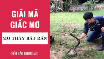 Giai-ma-giac-mo-Nam-mo-thay-bat-ran-diem-bao-gi-lanh-hay-du-con-so-lien-quan-5488