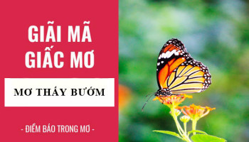 Giai-ma-giac-mo-Nam-mo-thay-buom-buom-xanh-diem-bao-gi-lanh-hay-du-con-so-lien-quan-5465