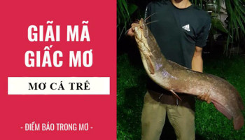 Giai-ma-giac-mo-Nam-mo-thay-ca-tre-diem-bao-gi-lanh-hay-du-con-so-lien-quan-5894