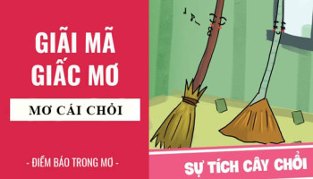 Giai-ma-giac-mo-Nam-mo-thay-cai-choi-diem-bao-gi-lanh-hay-du-con-so-lien-quan-6714