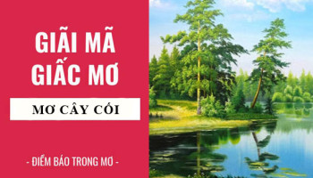 Giai-ma-giac-mo-Nam-mo-thay-cay-coi-diem-bao-gi-lanh-hay-du-con-so-lien-quan-6090