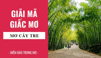 Giai-ma-giac-mo-Nam-mo-thay-cay-tre-diem-bao-gi-lanh-hay-du-con-so-lien-quan-6075