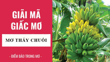 Giai-ma-giac-mo-Nam-mo-thay-chuoi-buong-chuoi-diem-bao-gi-lanh-hay-du-con-so-lien-quan-5456
