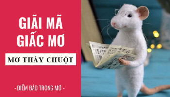 Giai-ma-giac-mo-Nam-mo-thay-chuot-chuot-bach-chuot-can-diem-bao-gi-lanh-hay-du-con-so-lien-quan-5259