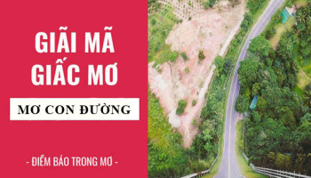 Giai-ma-giac-mo-Nam-mo-thay-con-duong-diem-bao-gi-lanh-hay-du-con-so-lien-quan-5207