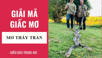 Giai-ma-giac-mo-Nam-mo-thay-con-tran-diem-bao-gi-lanh-hay-du-con-so-lien-quan-5494