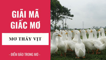 Giai-ma-giac-mo-Nam-mo-thay-con-vit-vit-chet-diem-bao-gi-lanh-hay-du-con-so-lien-quan-5613