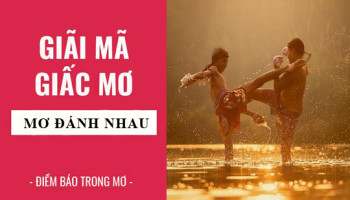 Giai-ma-giac-mo-Nam-mo-thay-danh-nhau-diem-bao-gi-lanh-hay-du-con-so-lien-quan-4929