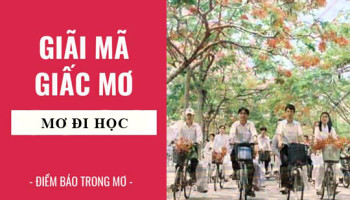 Giai-ma-giac-mo-Nam-mo-thay-di-hoc-nghi-hoc-tron-hoc-diem-bao-gi-lanh-hay-du-con-so-lien-quan-6852