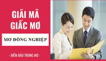 Giai-ma-giac-mo-Nam-mo-thay-dong-nghiep-diem-bao-gi-lanh-hay-du-con-so-lien-quan-5529