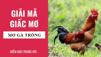 Giai-ma-giac-mo-Nam-mo-thay-ga-ga-trong-diem-bao-gi-lanh-hay-du-con-so-lien-quan-6086