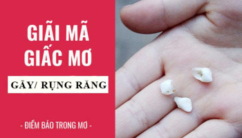 Giai-ma-giac-mo-Nam-mo-thay-gay-rang-rung-rang-diem-bao-gi-lanh-hay-du-con-so-lien-quan-4900
