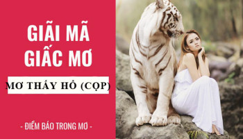 Giai-ma-giac-mo-Nam-mo-thay-ho-cop-diem-bao-gi-lanh-hay-du-con-so-lien-quan-5063